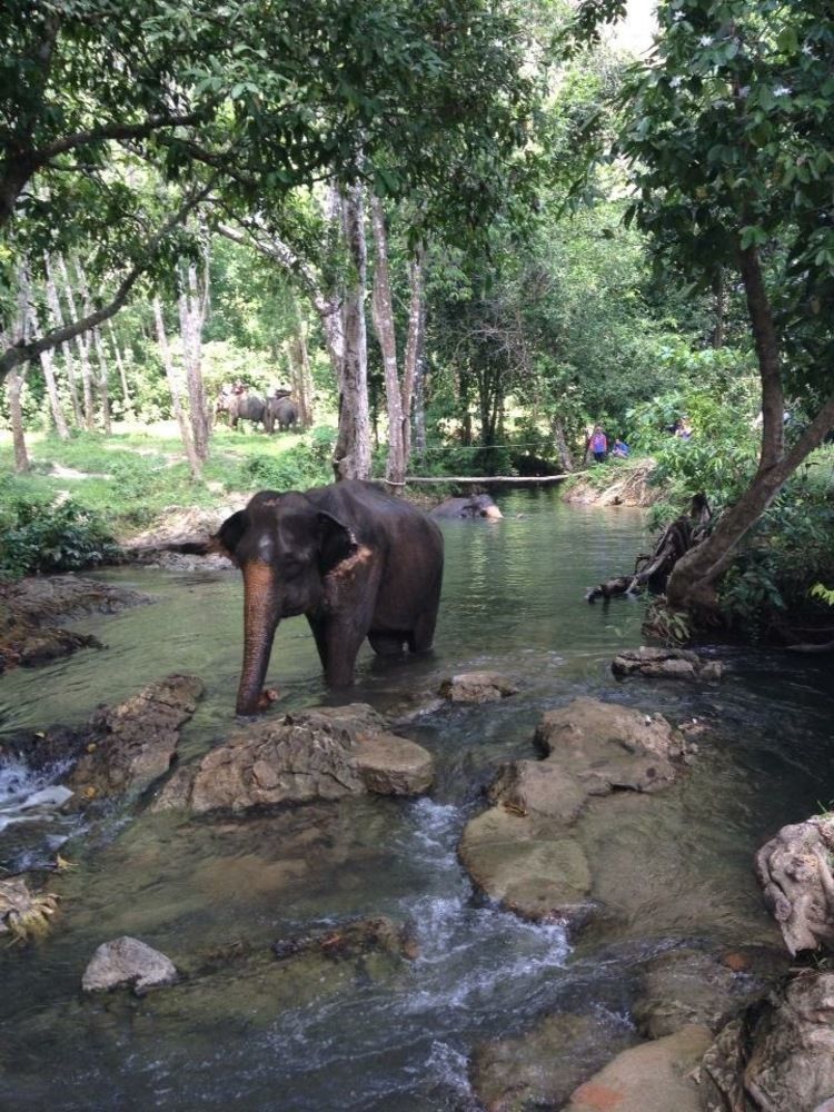 Water Garden Krabi Resort Ao Nang Buitenkant foto
